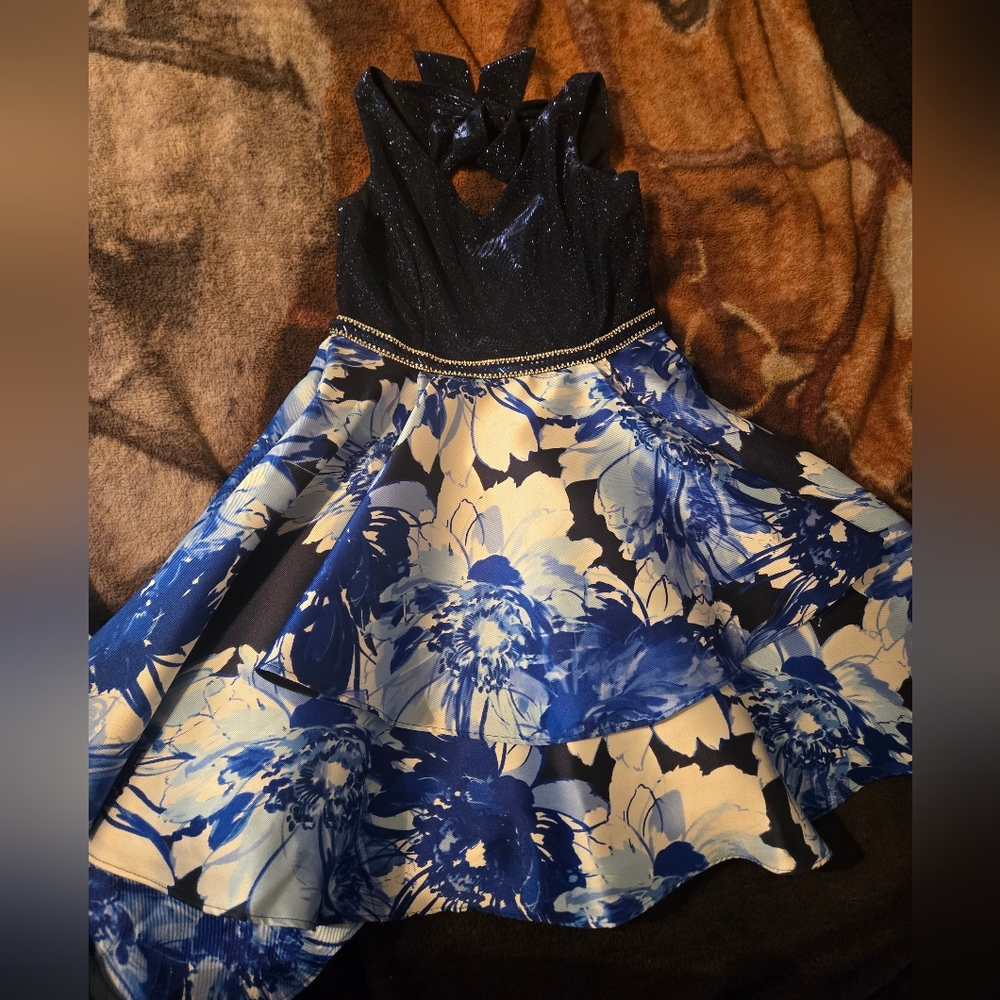 Blue Floral Dress with Sparkle Top